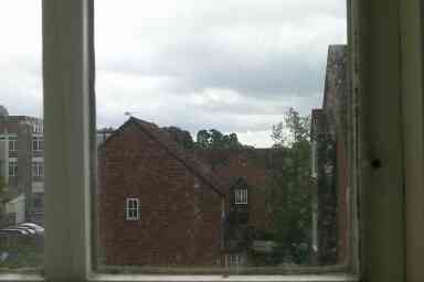 View out of Window 4
