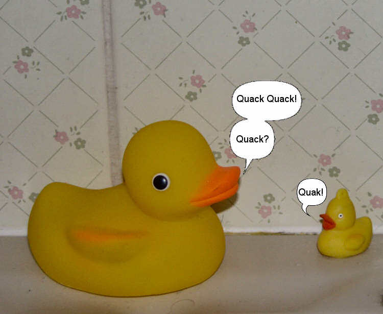 Picture of two rubber duckies talking to each other